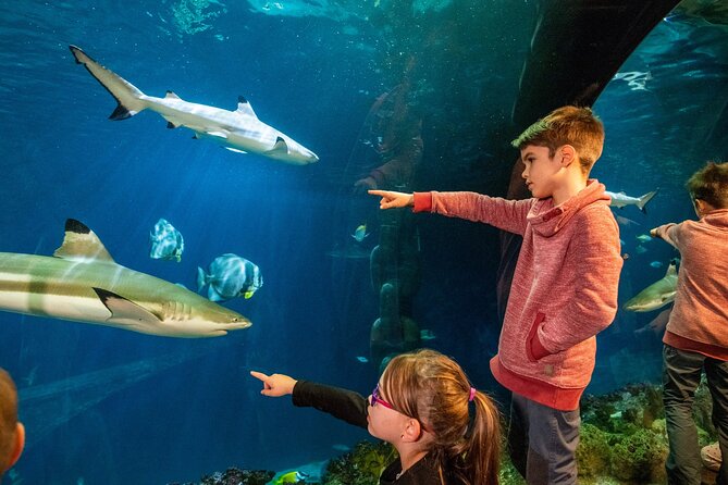 SEA LIFE Speyer Admission Ticket - Key Highlights You Should Actually Care About