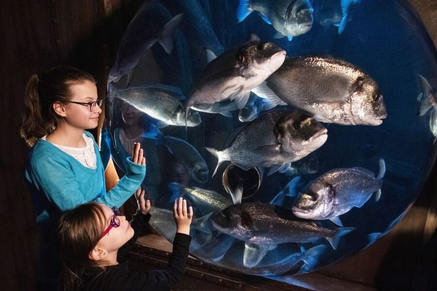 Sea Life Speyer Ticket - Where the friendly service shows up (and one small tech complaint)