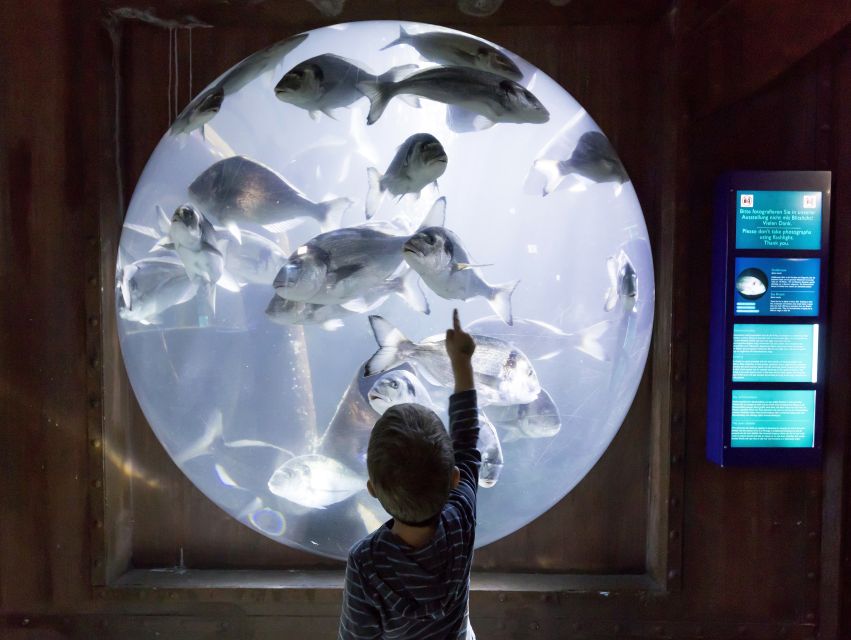 Sea Life Speyer Ticket - The great reef panorama: hundreds of fish, real coral texture