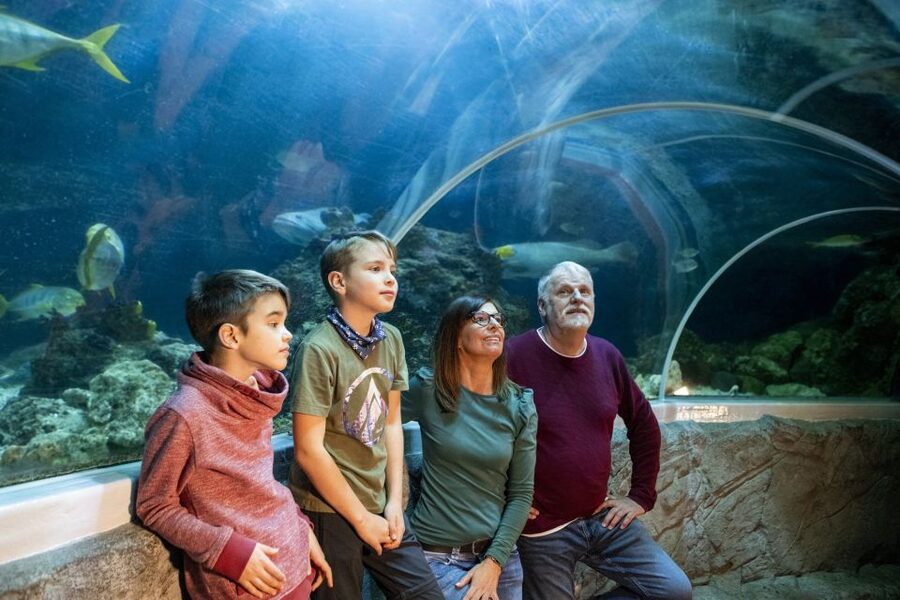 Sea Life Speyer Ticket - Mediterranean Sea tunnel: an underwater walk-through effect