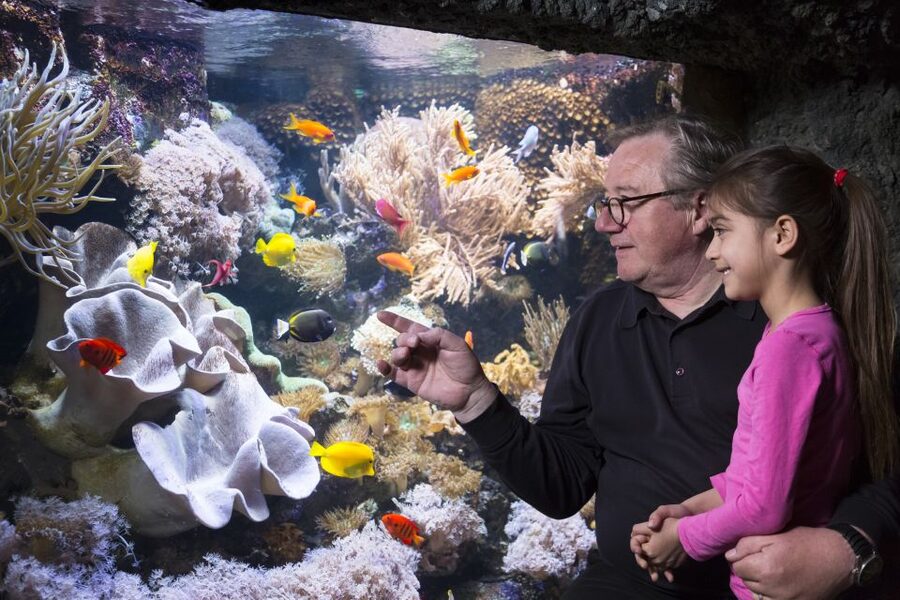 Sea Life Speyer Ticket - From the Amazon theme to European pond turtles outside