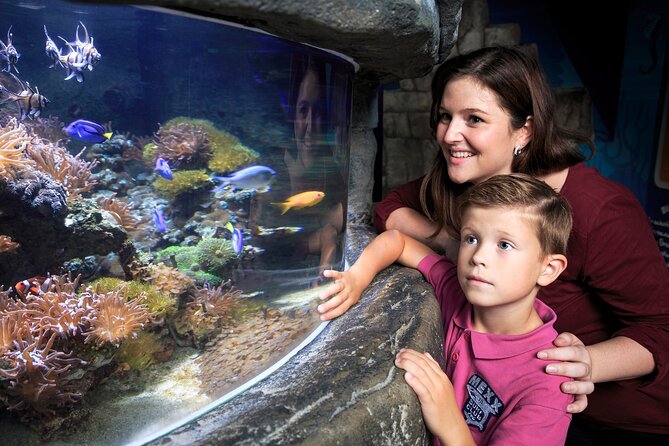 SEA LIFE Timmendorfer Strand Admission Ticket - The transparent tunnel and the headline tanks