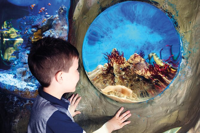 SEA LIFE Timmendorfer Strand Admission Ticket - Rainforest and “depths” animals: otters, boa constrictors, piranhas