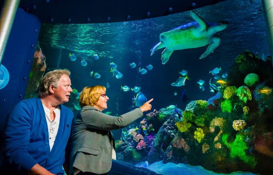 SEA LIFE Timmendorfer Strand Ticket - Key highlights worth aiming for