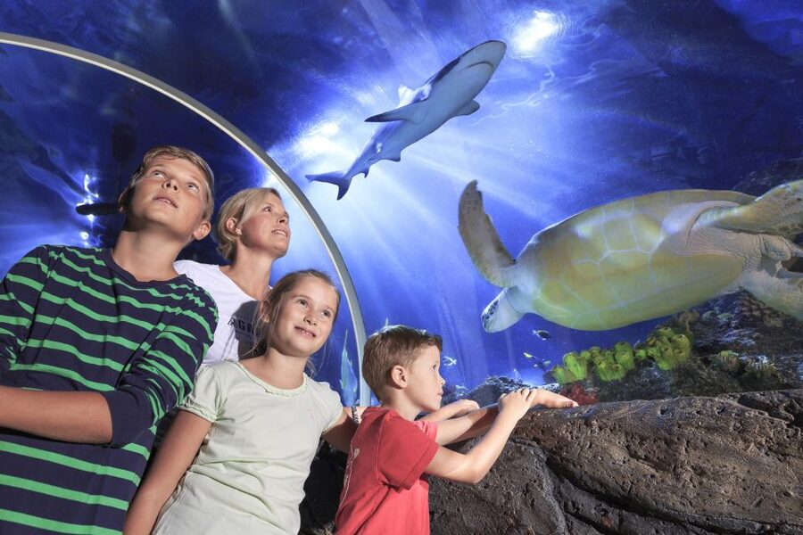 SEA LIFE Timmendorfer Strand Ticket - Hitting the Baltic Sea aquarium at Kurpromenade 5