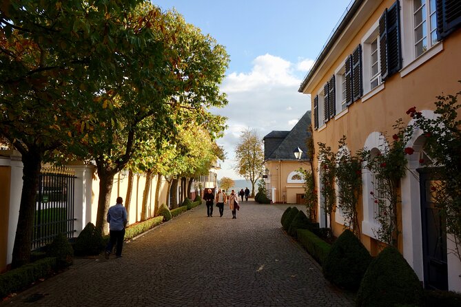 Small Group Rheingau Vineyards Tour with Castles and Abbeys - A Rheingau wine day trip that feels like a plan, not a shuffle