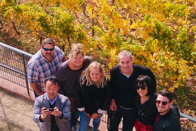 Small Group Rheingau Vineyards Tour with Castles and Abbeys - Weingut Kaufmann: a focused family estate flight from Riesling to Pinots