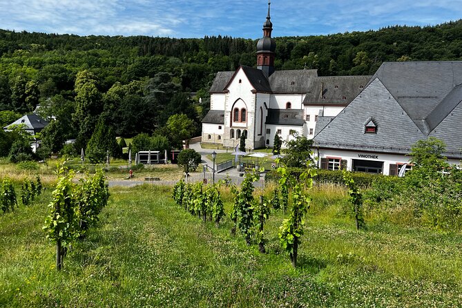 Small Group Rheingau Vineyards Tour with Castles and Abbeys - Guide matters: Jérôme’s style and why it changes the tasting