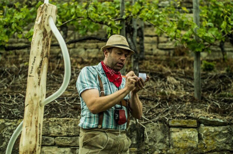 Stuttgart: Guided Vineyards Tour - Five-wine tasting in the middle of the hike