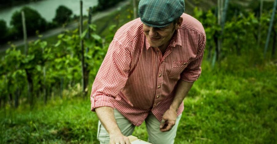 Stuttgart: Guided Vineyards Tour - Wine games that turn strangers into a group