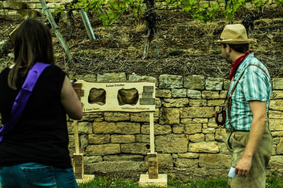 Stuttgart: Guided Vineyards Tour - Price and group size: when $800 makes sense
