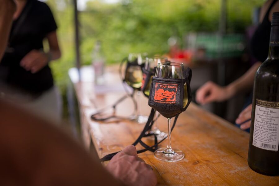 Stuttgart: Guided Vineyards Tour - Timing, pacing, and what to bring for 210 minutes