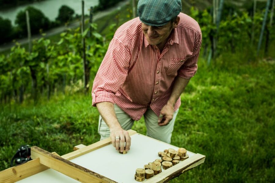 Stuttgart: Guided Vineyards Tour - Who this Stuttgart vineyards tour suits best