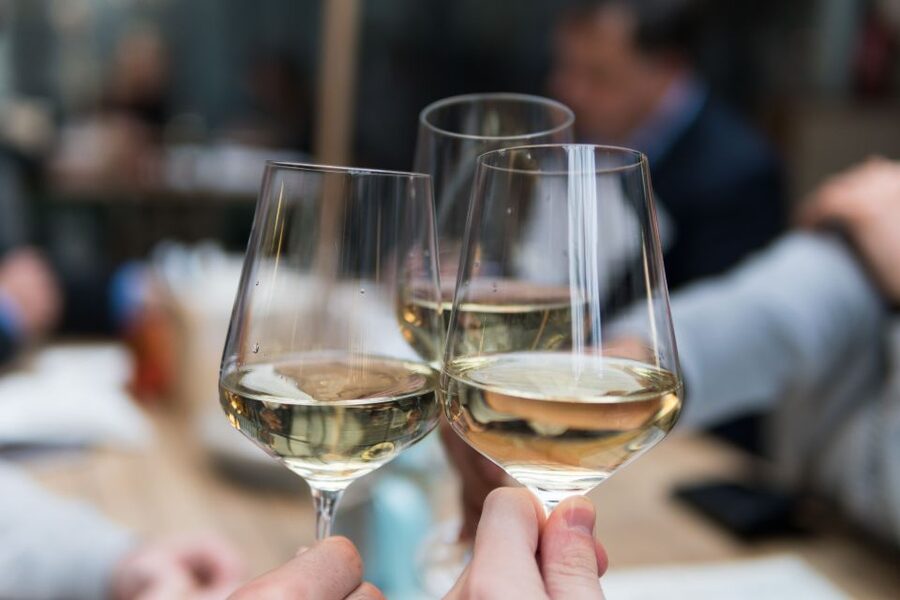 Stuttgart: Guided Vineyards Tour - Should you book this guided vineyards tour in Stuttgart?