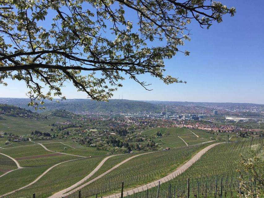 Stuttgart: Guided Wine Walk & Wine Tasting - The in-between walk: history and viticulture on the move