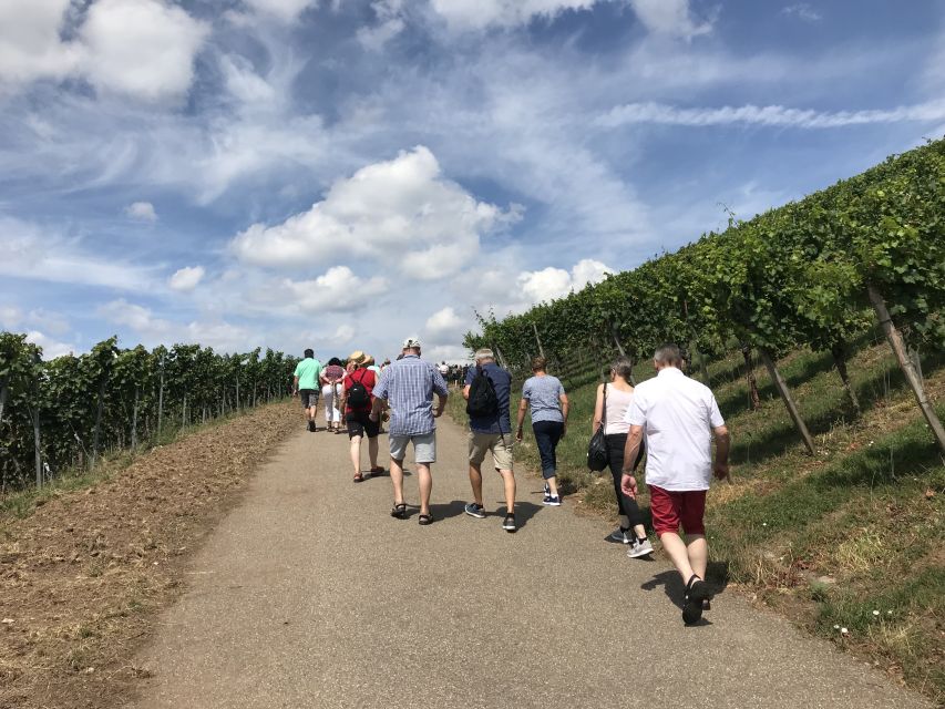 Stuttgart: Guided Wine Walk & Wine Tasting - Who this Stuttgart wine walk is best for