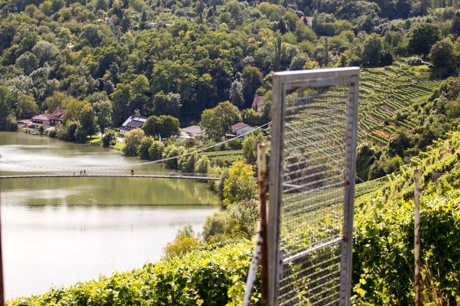 Stuttgart Nature Experience Day - Price, time, and what you actually get for $27