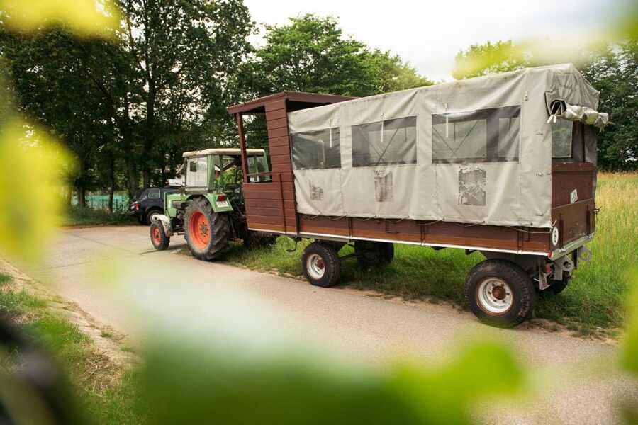 Stuttgart: Vineyard Tour by Covered Wagon - The wine tasting stop: five wines, local snacks, and real talk