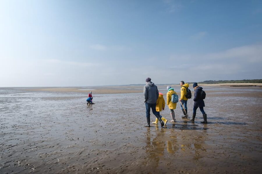 Sylt: Guided Mudflat Hike on the Island - Key Things You Should Know Before You Go