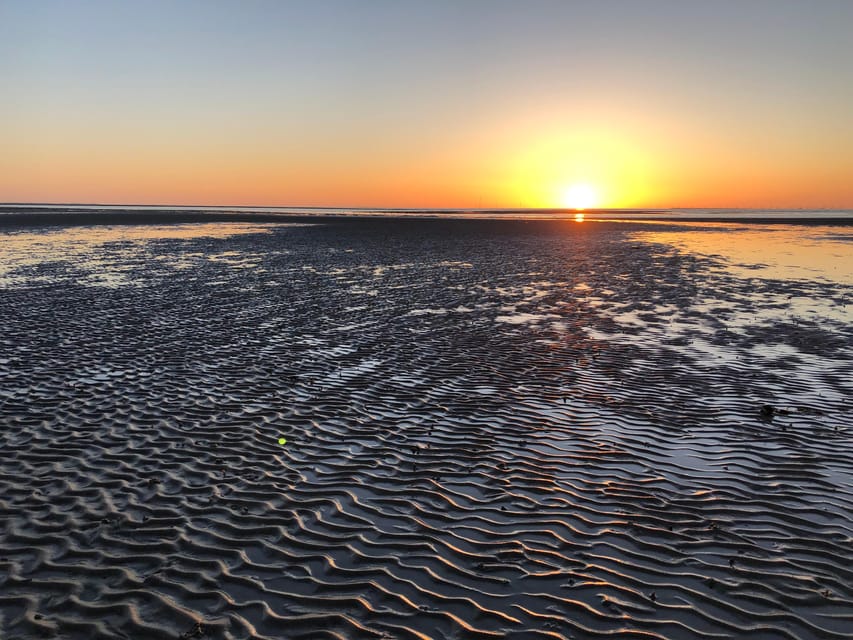 Sylt: Guided Mudflat Hike on the Island - Barefoot or Rubber Boots: What Changes on the Mudflat