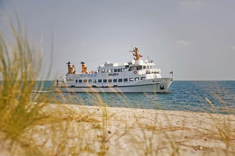 Sylt: Shell safari with boat | incl. Mussel tasting & 1 glass of wine - Key highlights you will care about
