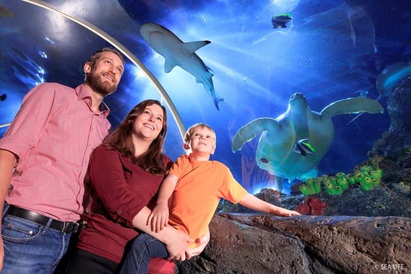 Ticket to SEA LIFE Konstanz - Interactive corners: Paint2Life and the discovery pool