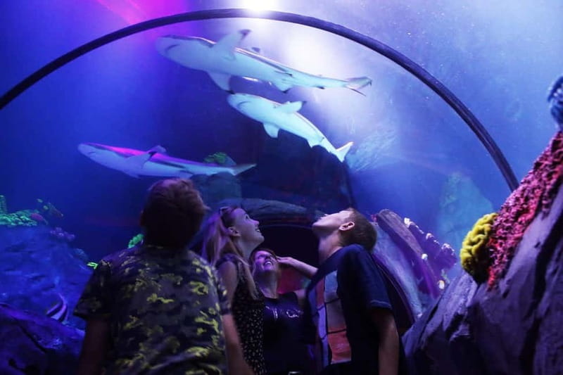 Ticket to SEA LIFE Konstanz - Price and value: is $27 worth a full day?
