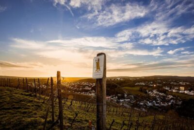 Discovery Tour – Germany’s Oldest Wine Cellar