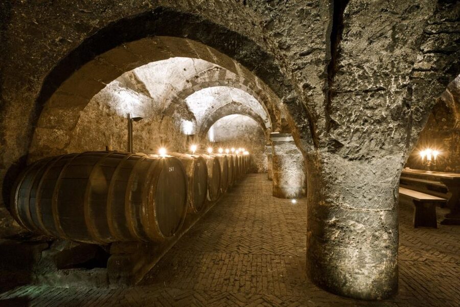 Trier: Discovery Tour – Germany's Oldest Wine Cellar - What the 1-Hour Format Really Means for You