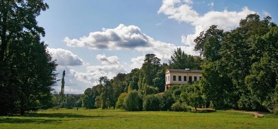 Weimar: Old Town Guided Walking Tour - Price and value: why $11 can make sense