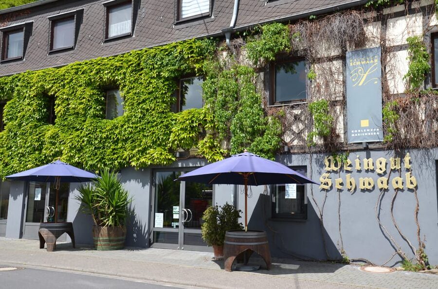 Winetasting / Weinprobe Koblenz - Making your visit go smoothly, timing and group flow
