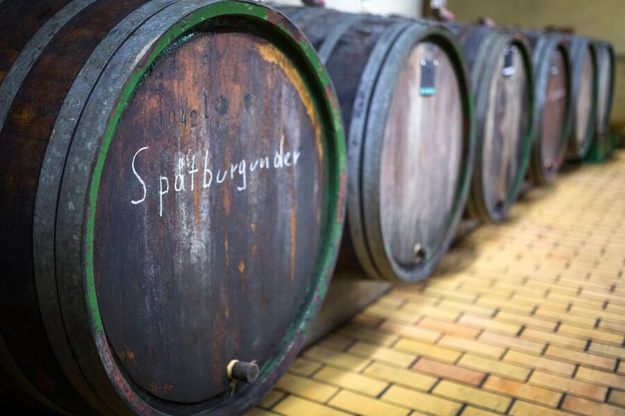 Winetasting with tour through the winery - Key things worth knowing before you go