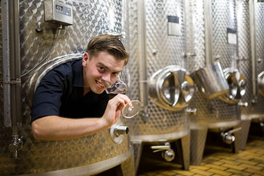 Winetasting with tour through the winery - Language and fit: who this tour is best for